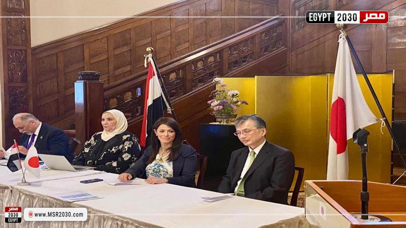 وزيرة التعاون الدولي
