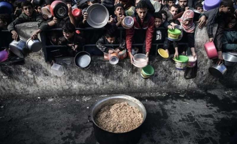 سكاان غزة