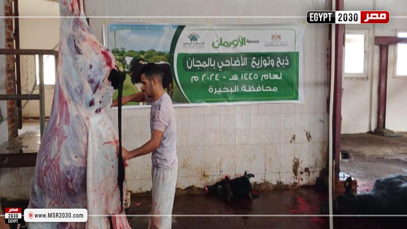 أورمان البحيرة