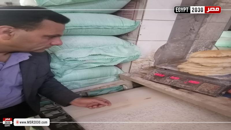 تموين الإسكندرية