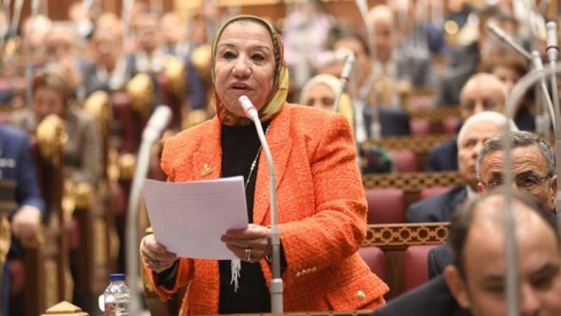النائبة حياة خطاب عضو مجلس الشيوخ