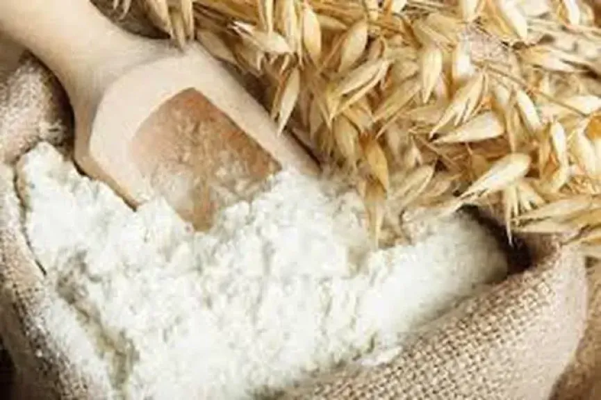 سعر طن الدقيق عند التاجر