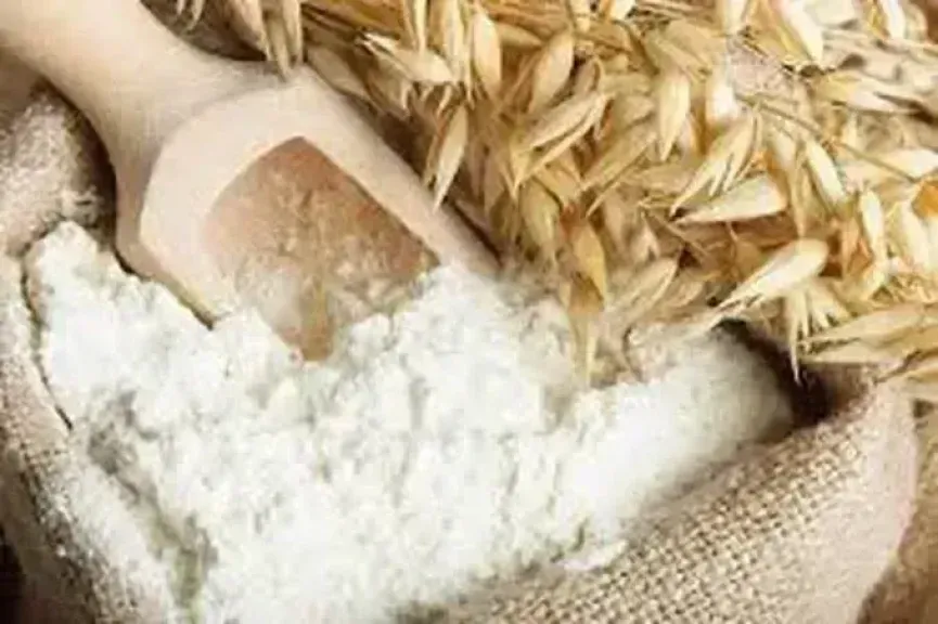 سعر طن الدقيق عند التاجر