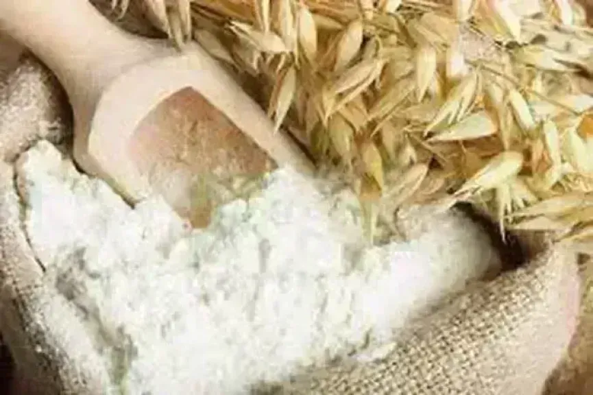 سعر طن الدقيق عند التاجر