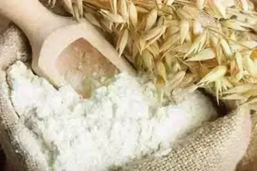 سعر طن الدقيق عند التاجر