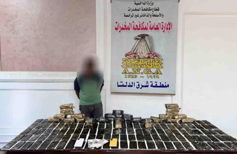 مخدر الحشيش 