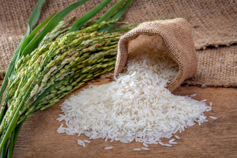أسعار الأرز اليوم عند التاجر