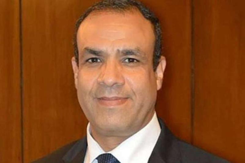 بدر عبد العاطي