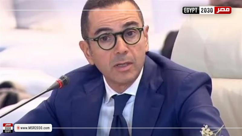 وزير الاستثمار