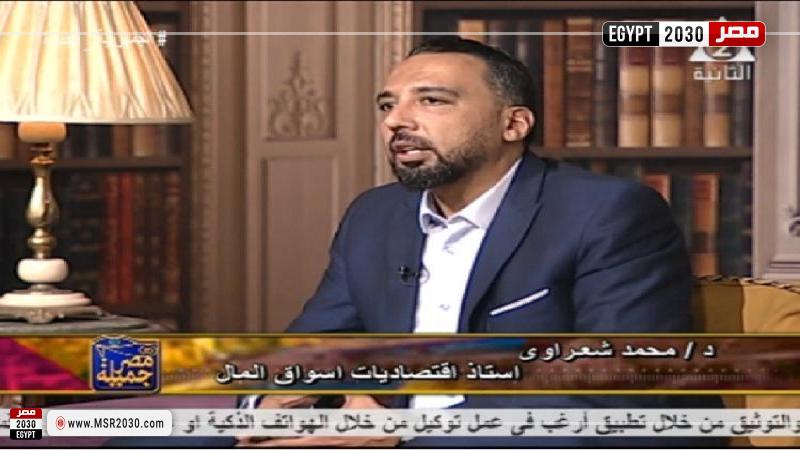 الدكتور محمد شعراوي الخبير الاقتصادي