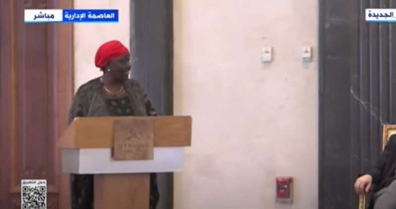 نائب رئيس لجنة الاتحاد الإفريقي المعنية بالسودان