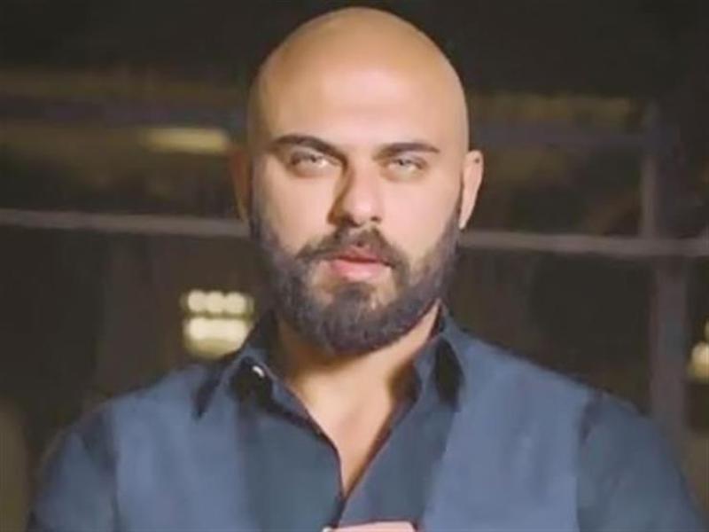  الفنان أحمد صلاح حسنى 