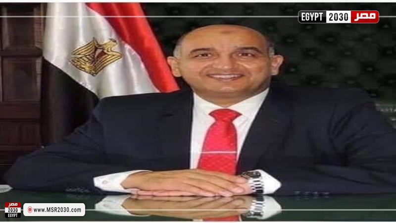 الدكتور السيد الصيفي