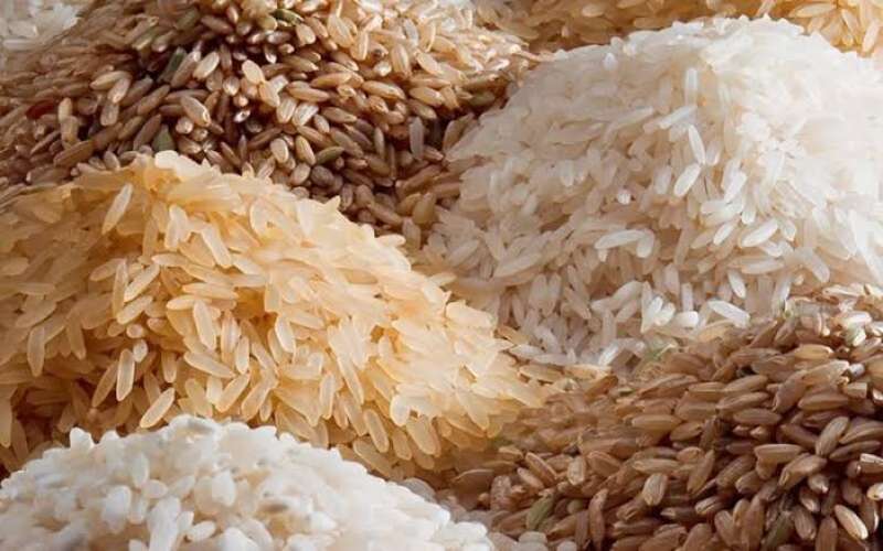 سعر الأرز الشعير اليوم