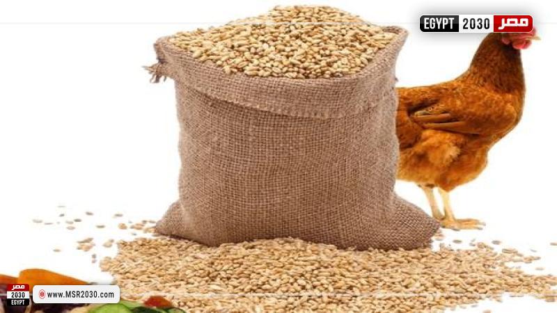 أسعار الأعلاف اليوم