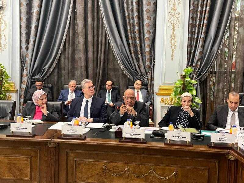 محمود عصمت يعرض برنامج عمل «الكهرباء» لتحسين جودة الخدمة أمام البرلمان