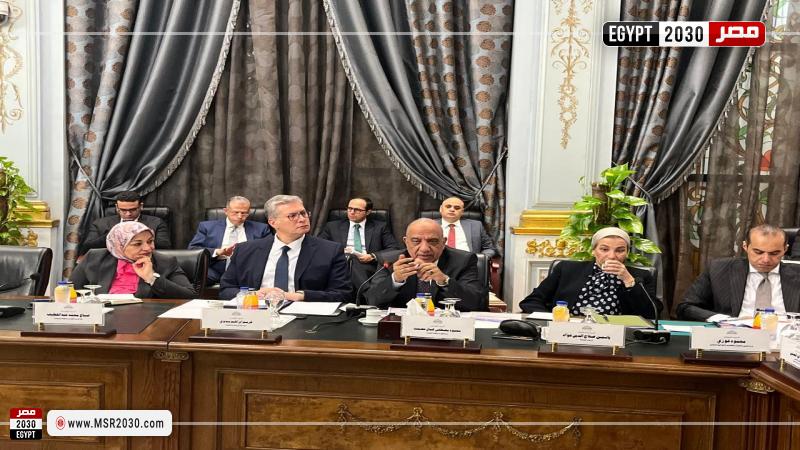 وزير الكهرباء