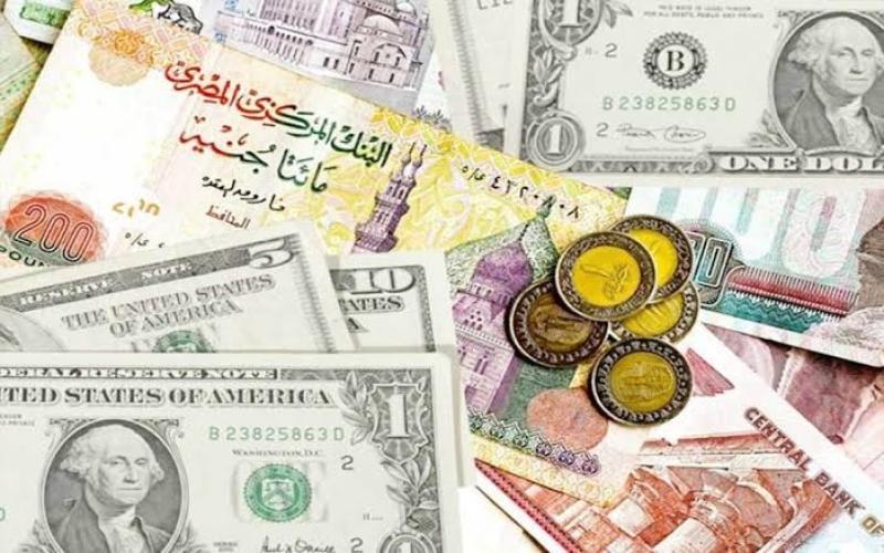 الدولار 