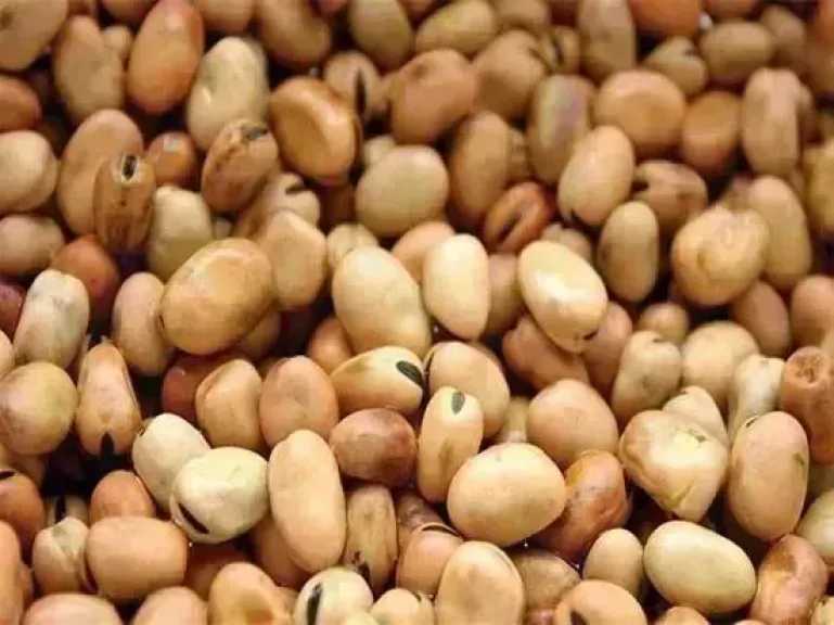 سعر الفول اليوم الخميس عند التاجر.. العريض النهاردة بكام