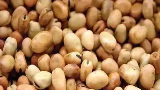 سعر الفول اليوم الأحد عند التاجر.. العريض النهاردة... سعر الفول اليوم الأحد عند التاجر.. العريض النهاردة بكام