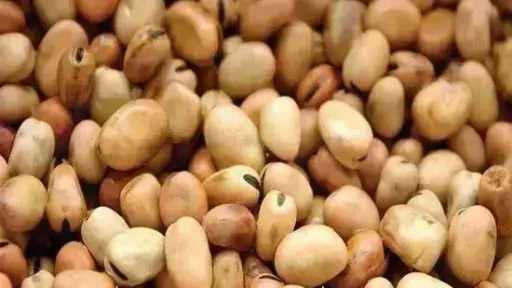 سعر الفول اليوم الثلاثاء عند التاجر.. العريض النهاردة بكام