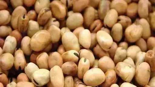 سعر الفول اليوم الإثنين عند التاجر.. العريض النهاردة بكام