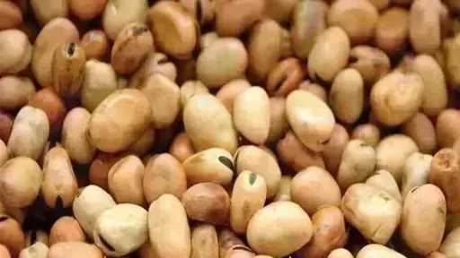 سعر الفول اليوم الأحد عند التاجر.. العريض النهاردة بكام