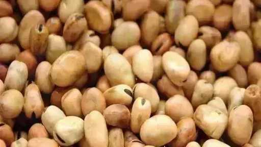 سعر الفول اليوم الأربعاء عند التاجر.. العريض النهاردة بكام