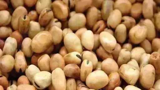 سعر الفول اليوم الخميس عند التاجر.. العريض النهاردة بكام