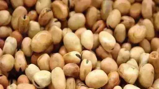 سعر الفول اليوم الخميس عند التاجر.. العريض النهاردة بكام