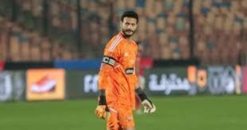محمد الشناوي 