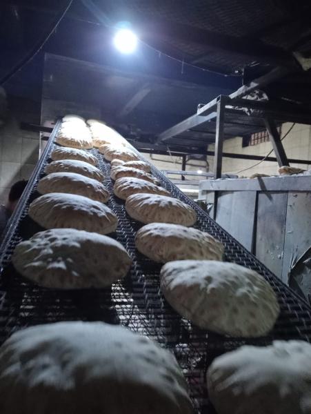 محافظ كفرالشيخ 