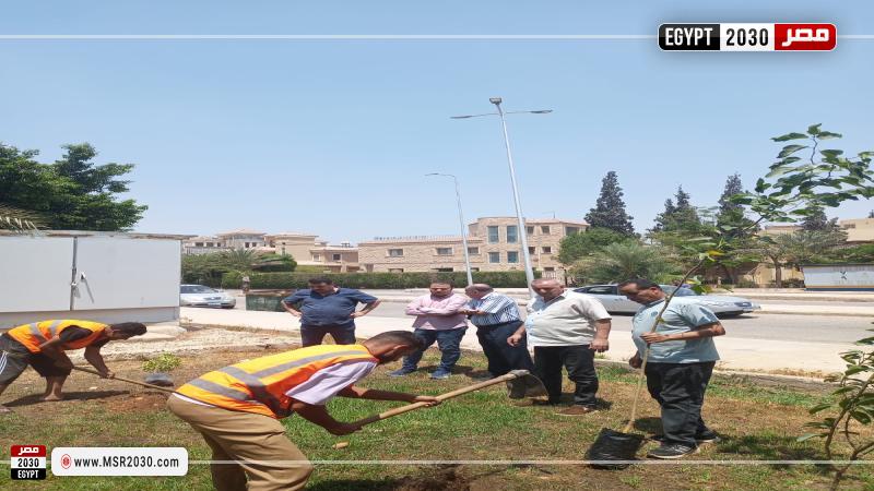 جهاز مدينة الشروق