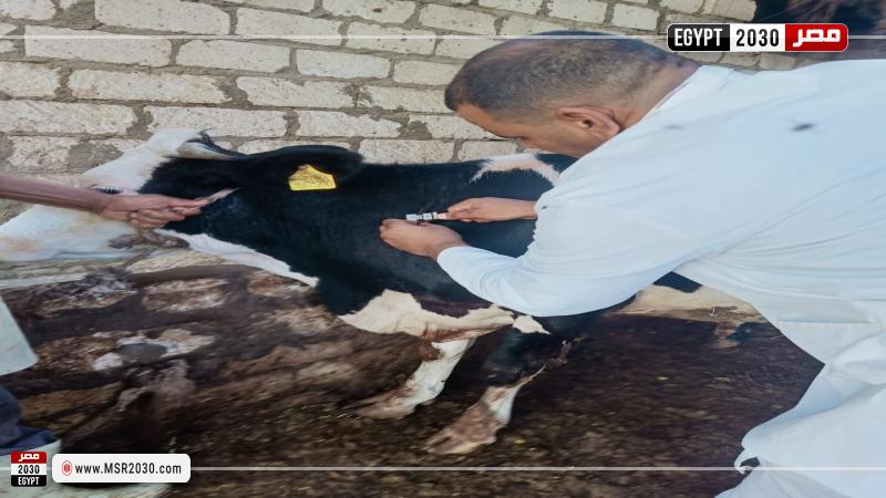 محافظة البحيرة