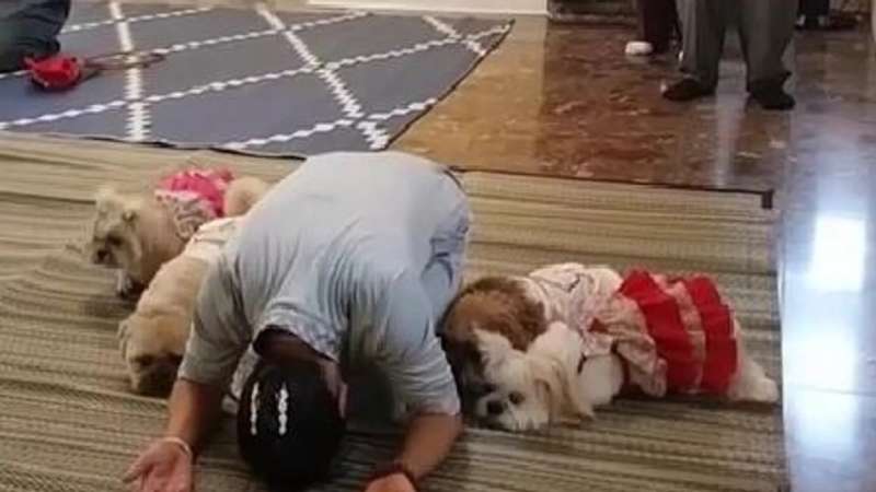 ”مشهد غريب”... كلاب تؤدي ”الصلاة” إلى جانب مالكتهم