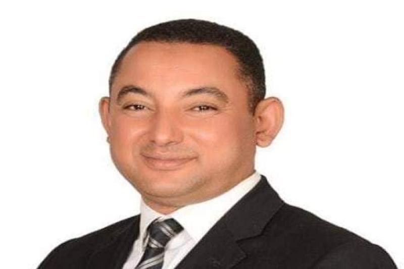  النائب الدكتور ناصر عثمان، أمين سر اللجنة الدستورية والتشريعية بمجلس النواب