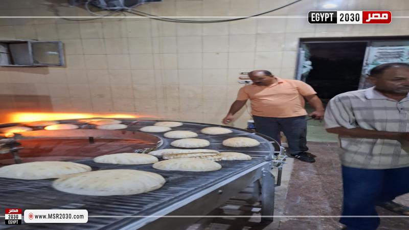 محافظة كفر الشيخ