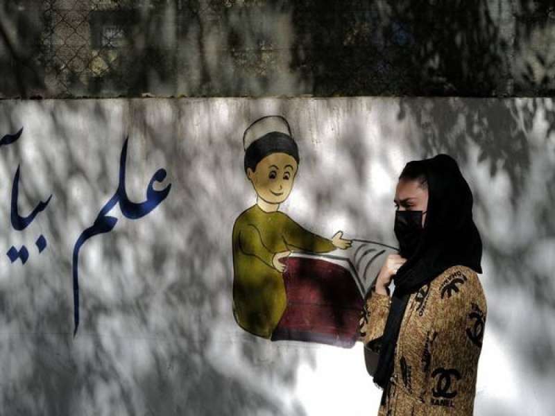 طالبان 
