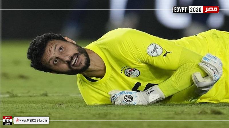 محمد الشناوي