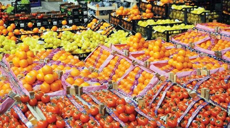 أستاذ زراعة: صادرات الموالح المصرية تجاوزت 2 مليون طن