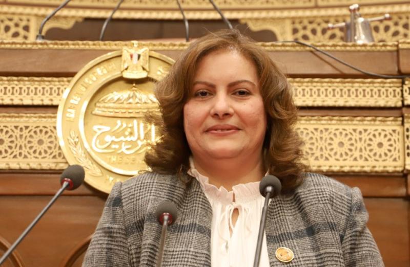  النائبة الدكتورة عايدة نصيف