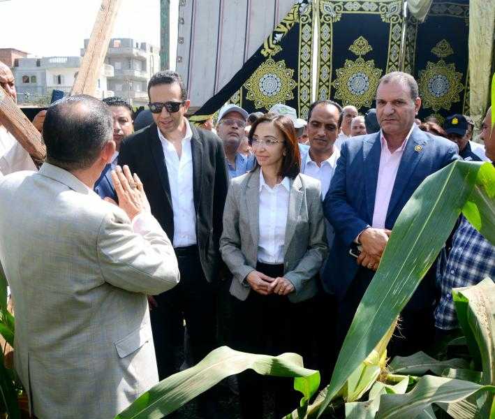 محافظ البحيرة تفتتح موسم حصاد محصول الذرة