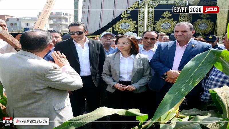 محافظ البحيرة