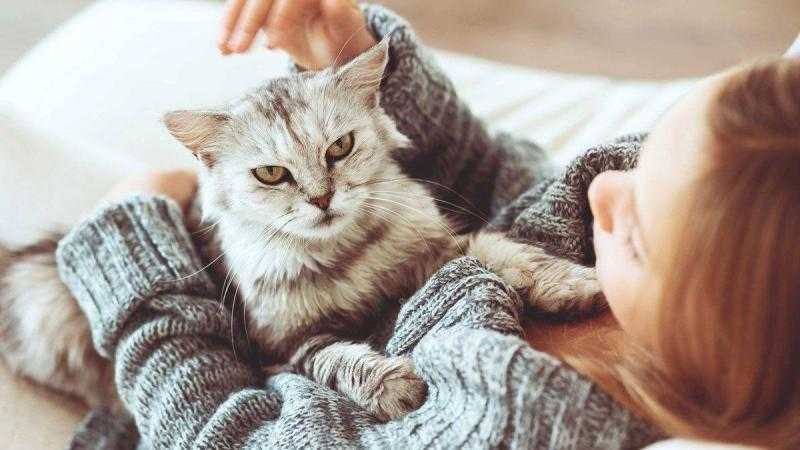 خبيرة طاقة المكان: الحيوانات الأليفة تجلب الطاقة الإيجابية ولا تمنع الحظ