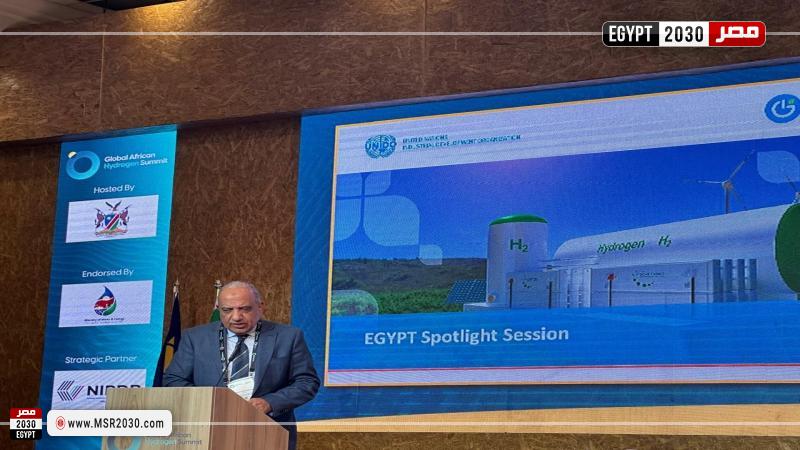 وزير الكهرباء