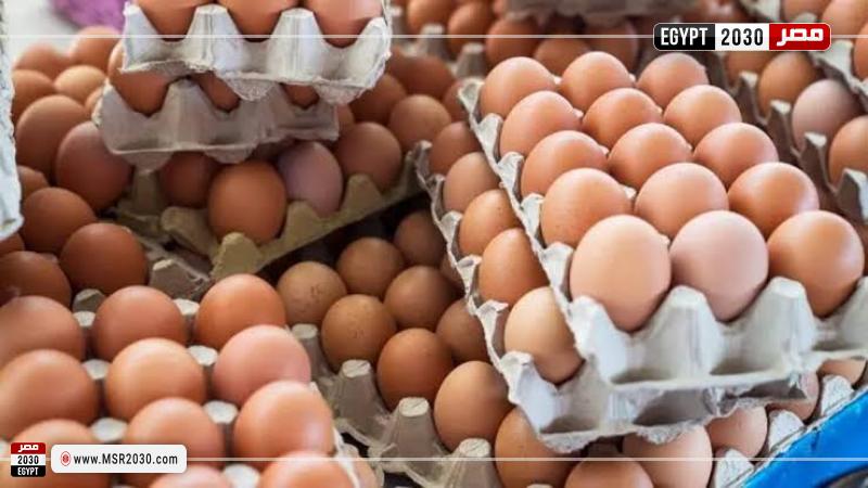 أسعار البيض اليوم