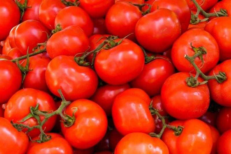 بعد ارتفاع أسعارها.. بدائل الطماطم