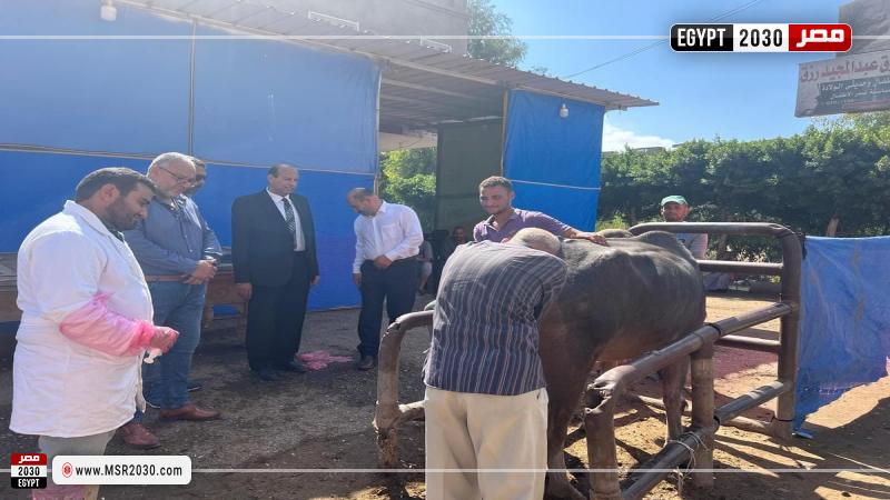 محافظة كفرالشيخ