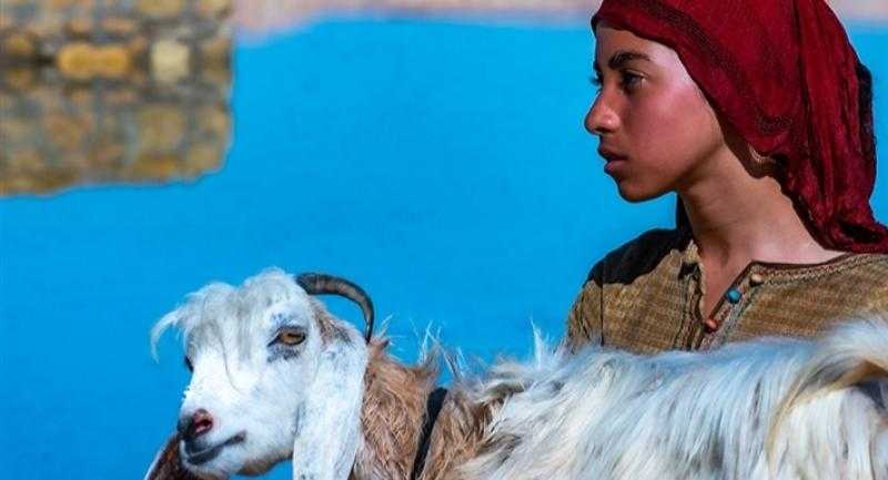 فيلم ”المعزة” للمخرجة إيلاريا بوريللي ينطلق في دور العرض المصرية