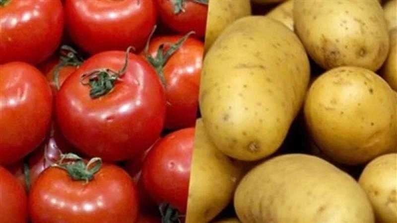 الفلاحين تناشد ربات البيوت بتخزين الطماطم والبطاطس